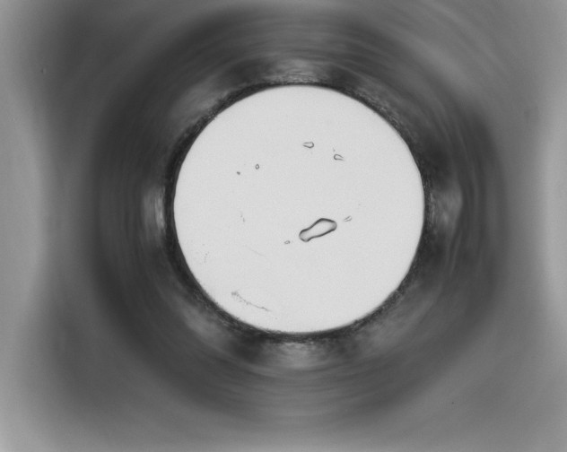 X0000116390302200912021545