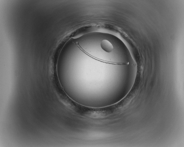 X0000116390303200912021545