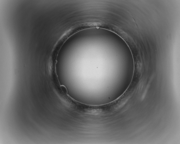 X0000116390304200912021545
