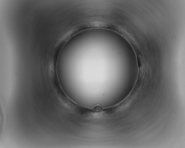 X0000116390306200912021545