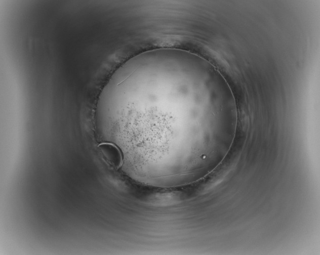 X0000116390307200912021545