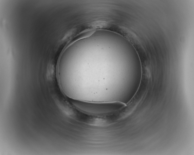 X0000116390308200912021545