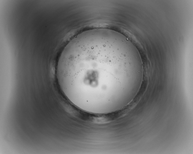 X0000116390309200912021545