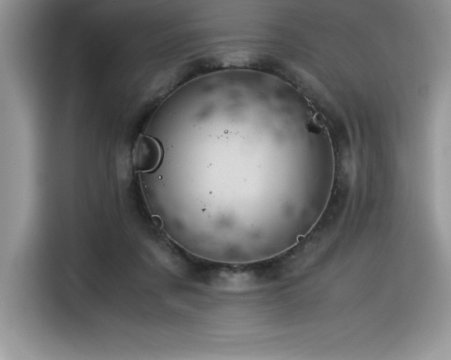 X0000116390311200912021545