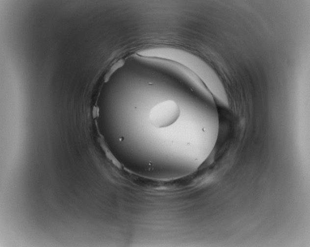 X0000116390312200912021545