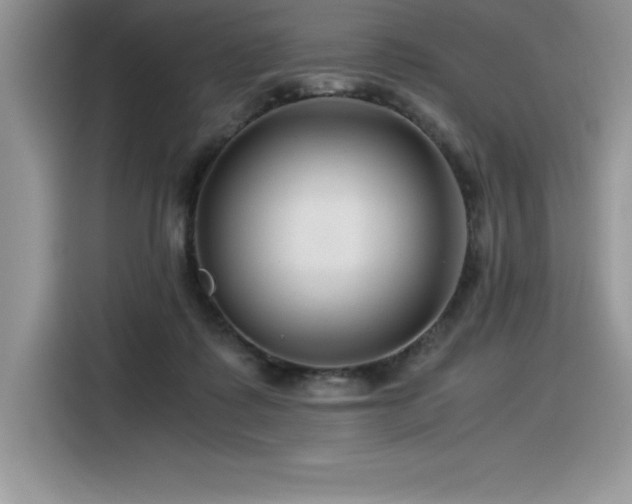 X0000116390315200912021545