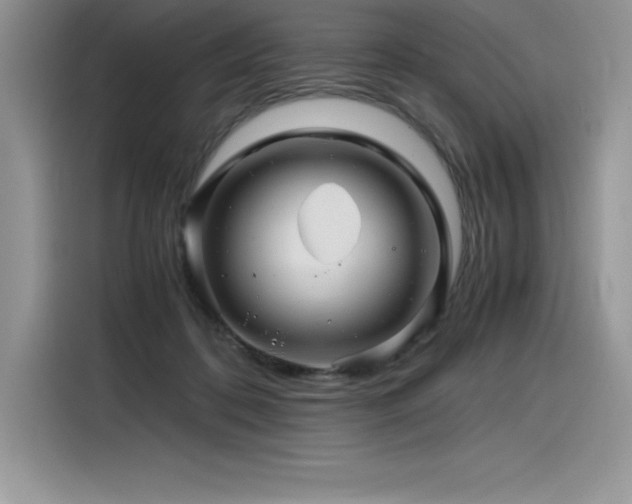 X0000116390316200912021545