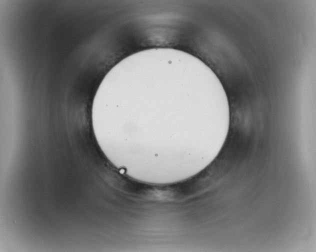 X0000116390317200912021545