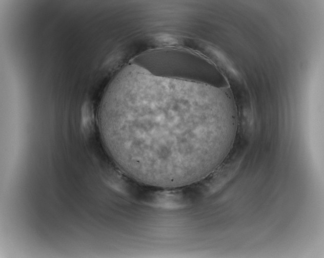 X0000116390320200912021545