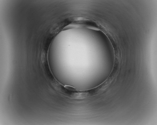 X0000116390323200912021545