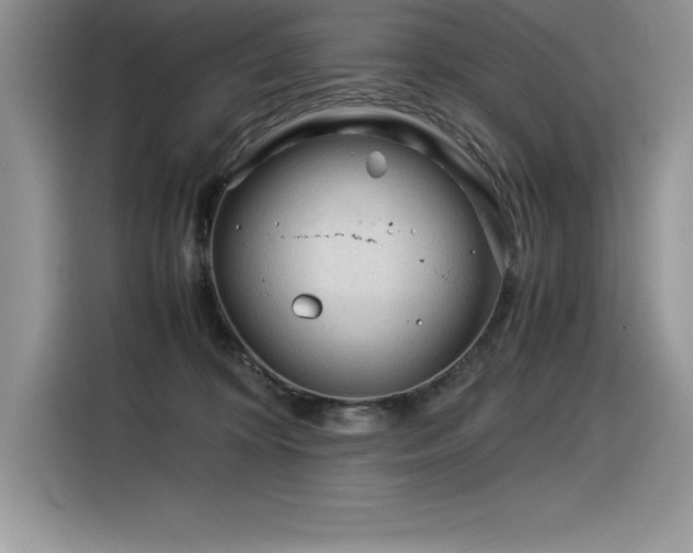 X0000116390324200912021545