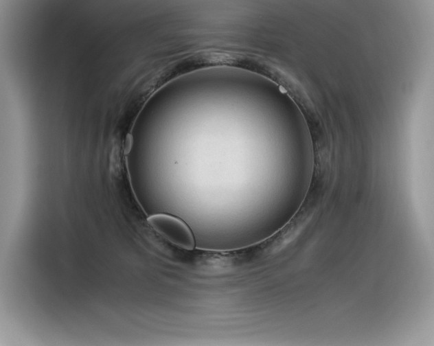 X0000116390325200912021545