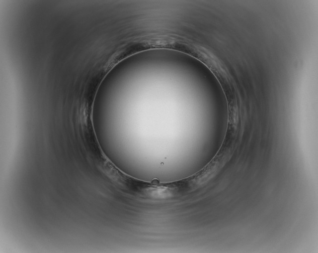 X0000116390326200912021545