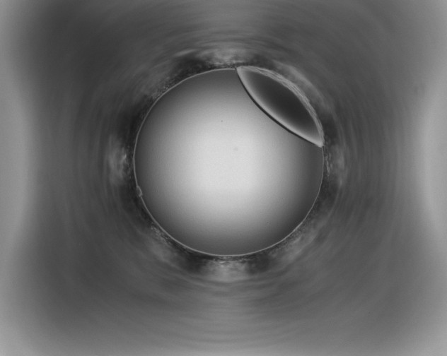 X0000116390327200912021545