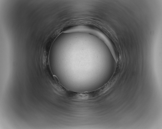 X0000116390328200912021545