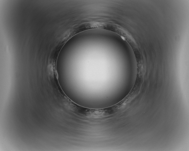 X0000116390329200912021545