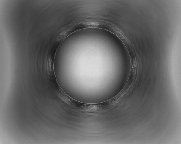 X0000116390330200912021545