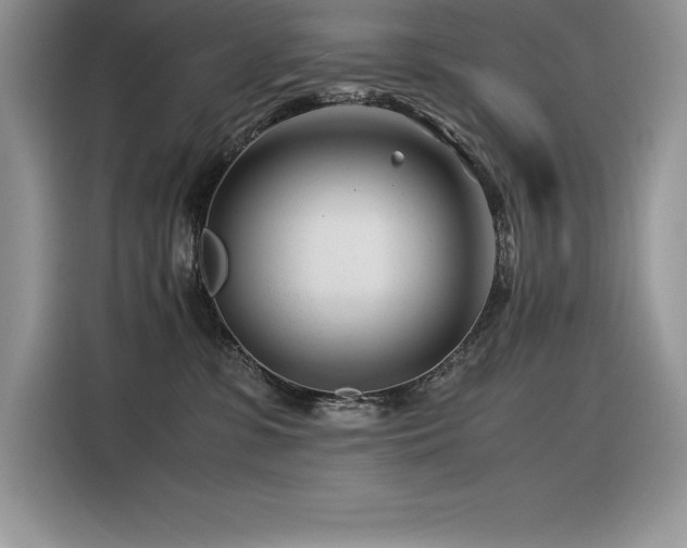 X0000116390331200912021545