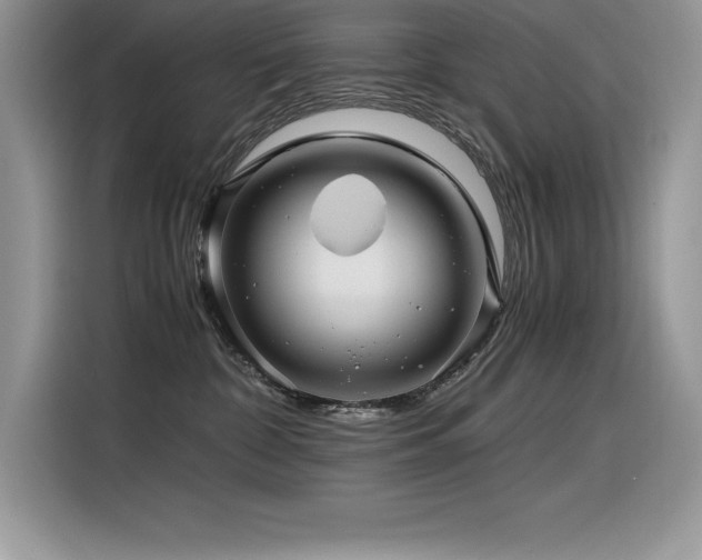 X0000116390332200912021545