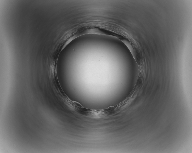 X0000116390333200912021544