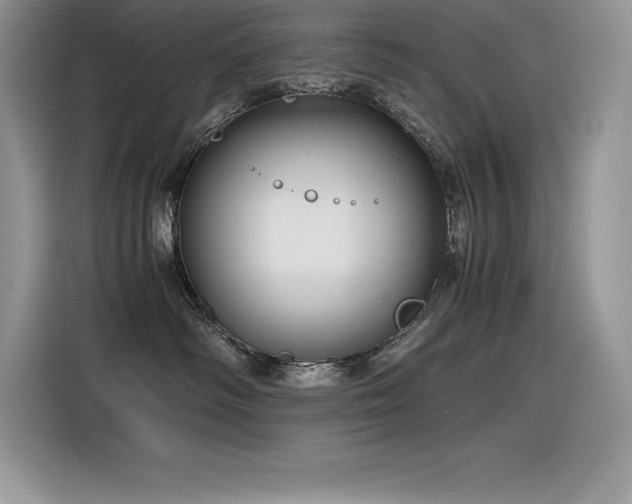 X0000116390334200912021544