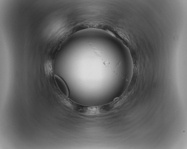 X0000116390335200912021544