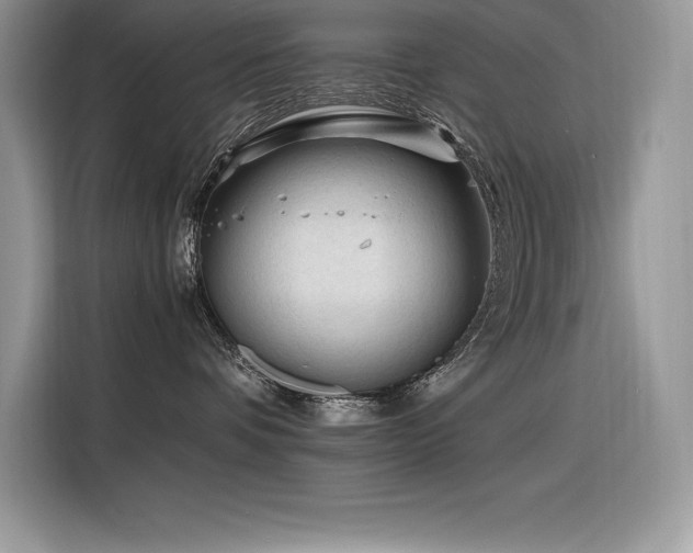 X0000116390336200912021544