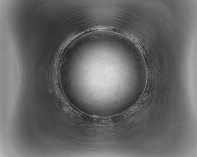 X0000116390337200912021544