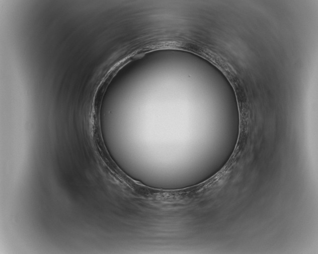 X0000116390338200912021544