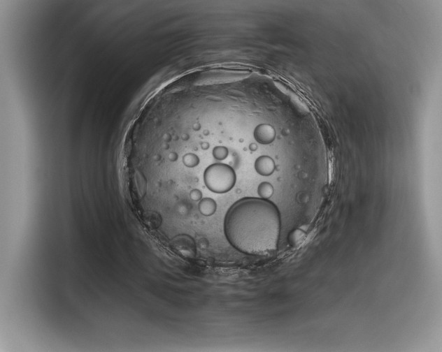 X0000116390339200912021544