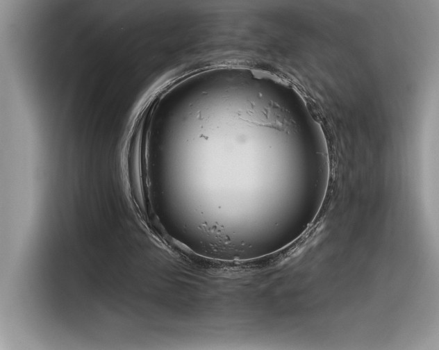 X0000116390341200912021544