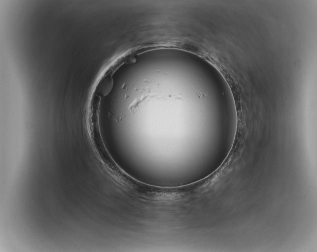 X0000116390342200912021544