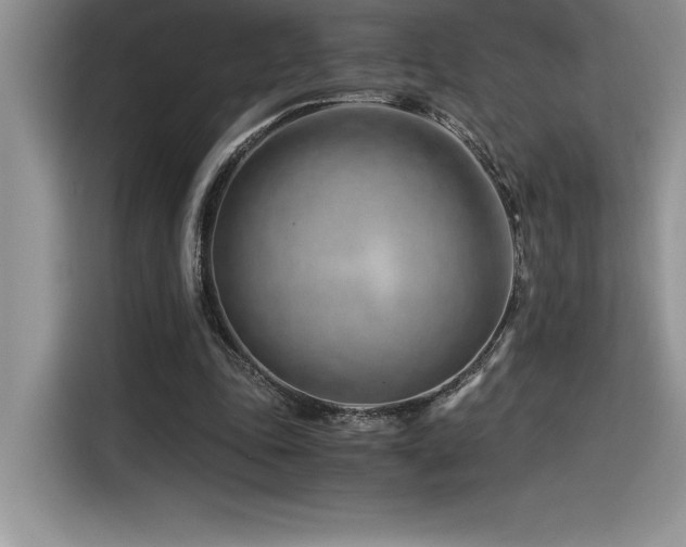 X0000116390343200912021544