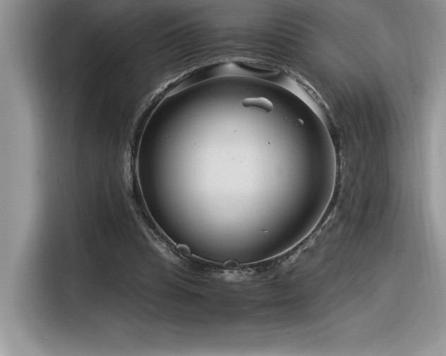 X0000116390345200912021544