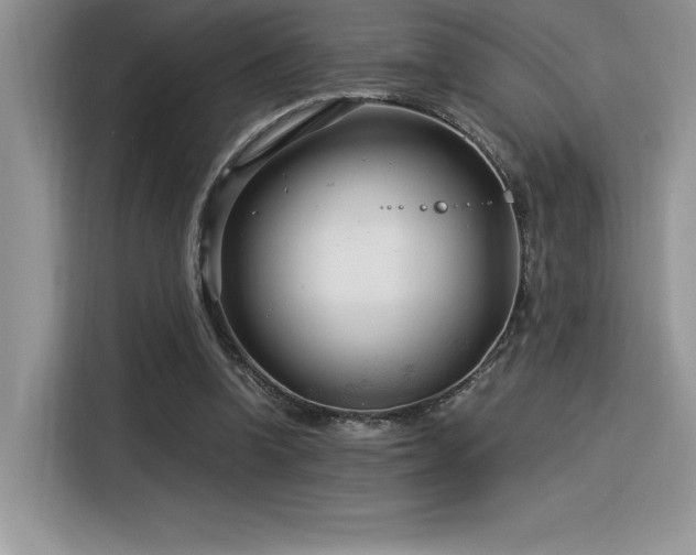 X0000116390346200912021544