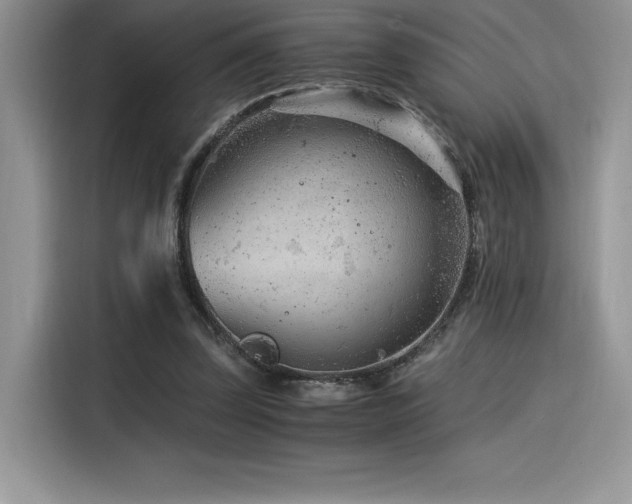 X0000116390347200912021544
