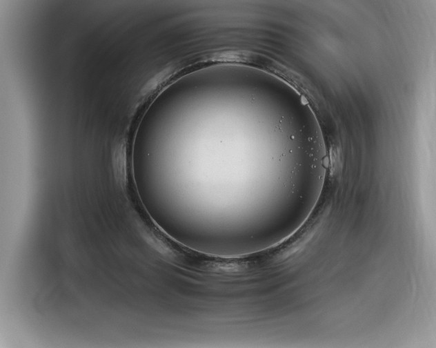 X0000116390349200912021544