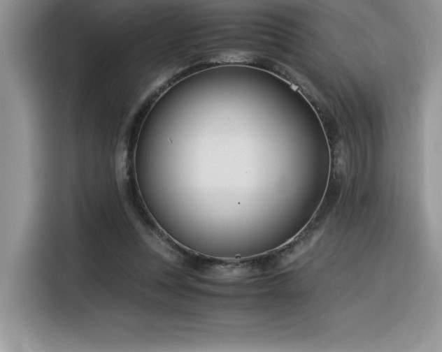 X0000116390351200912021544