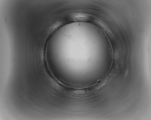 X0000116390353200912021544