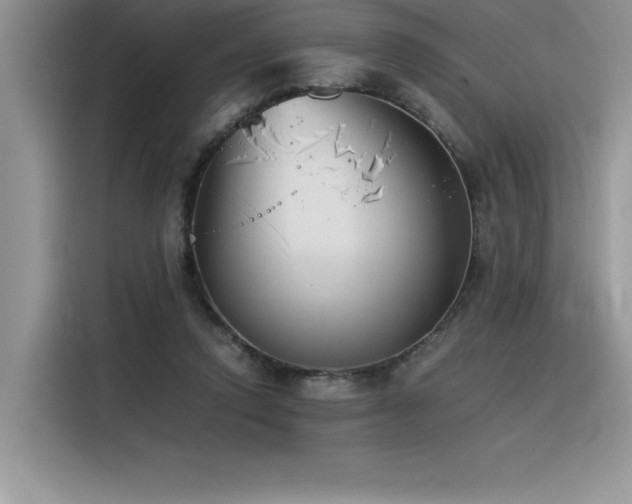 X0000116390354200912021544