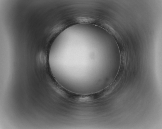 X0000116390357200912021544