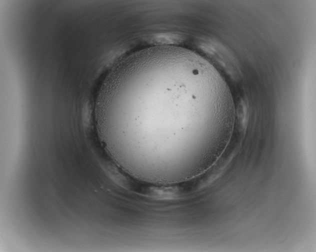 X0000116390359200912021544