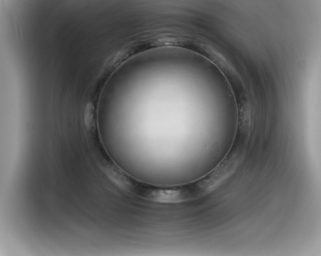 X0000116390361200912021544