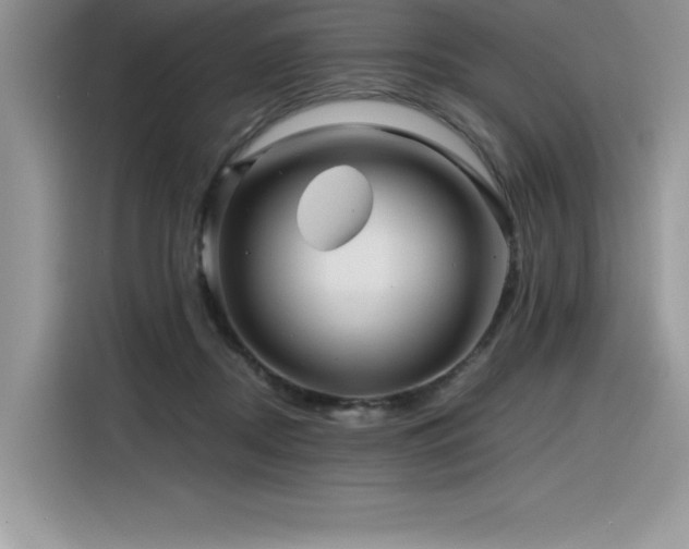 X0000116390362200912021544