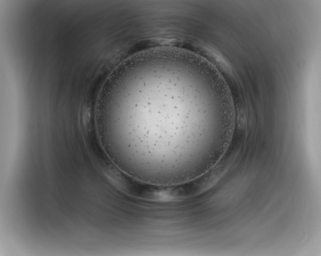 X0000116390365200912021544