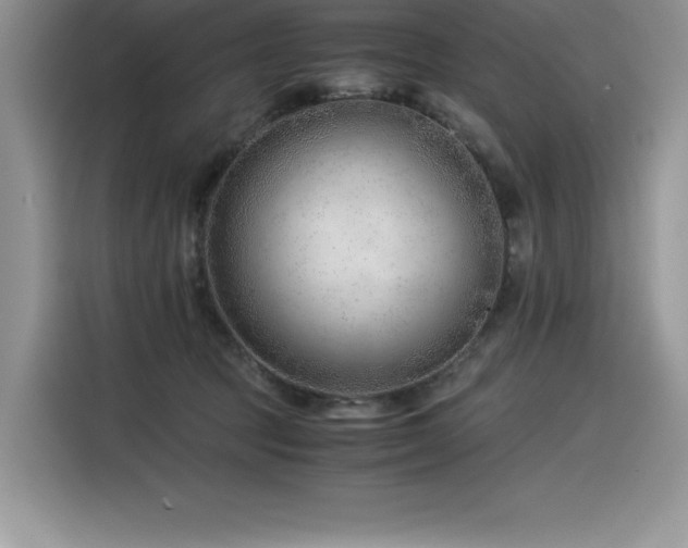 X0000116390369200912021544