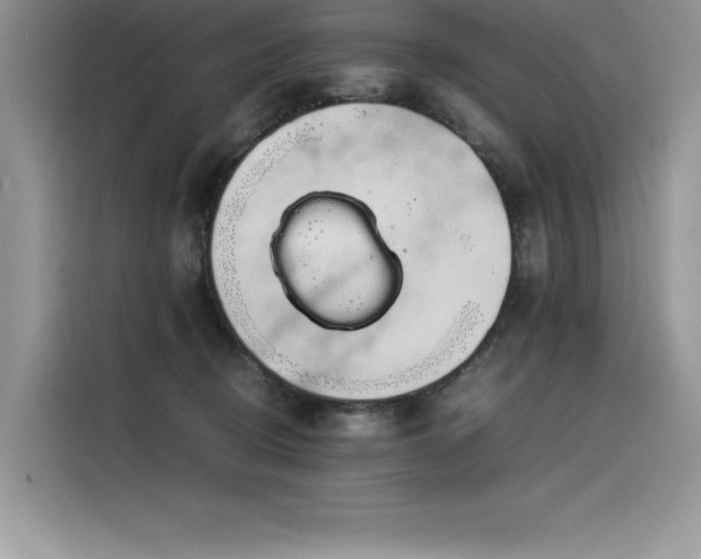 X0000116390370200912021544