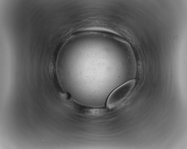 X0000116390371200912021544