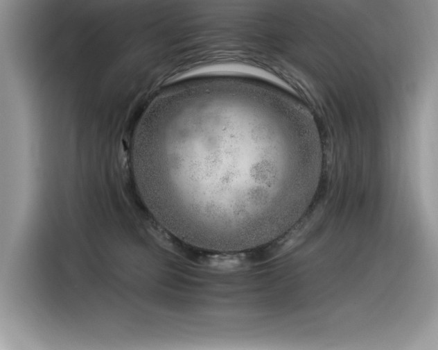 X0000116390373200912021544
