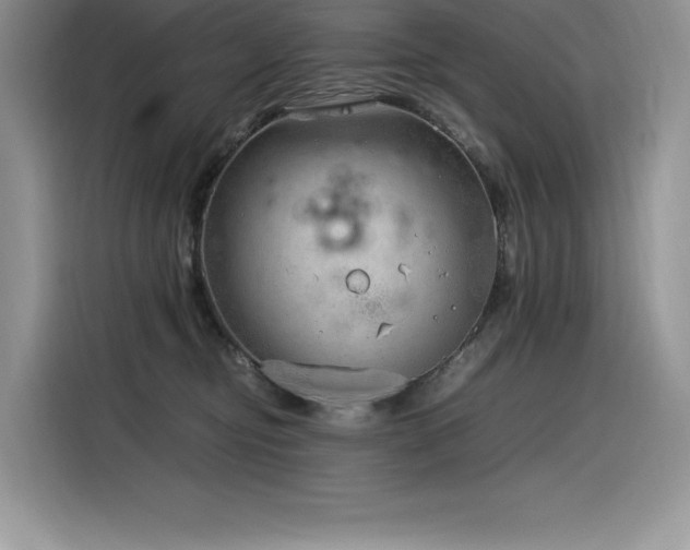 X0000116390374200912021544